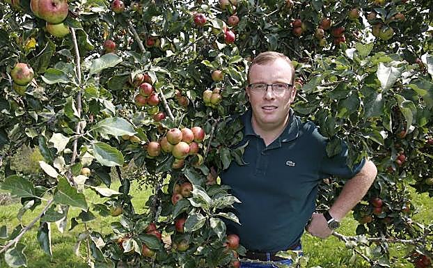 Tino Cortina, presidente del Consejo Regulador de la Denominación de Origen Sidra de Asturias