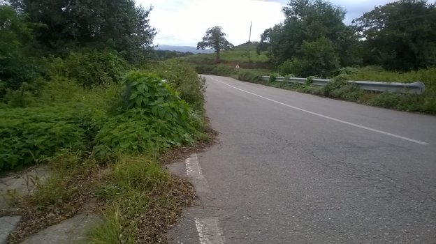 Carretera que une las localidades de Serantes y Villamil. 