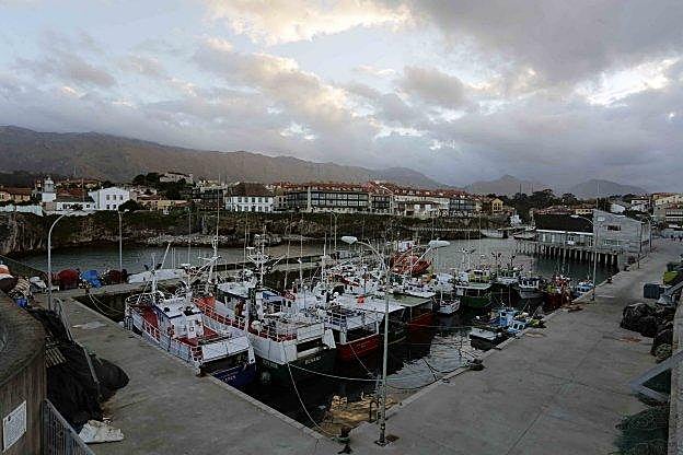 Una de las intervenciones pendientes consistirá en ampliar la marina seca de la dársena pesquera del puerto llanisco. 