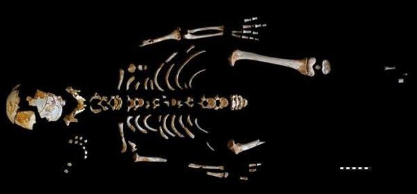 Los secretos que guardaba el niño neandertal de El Sidrón