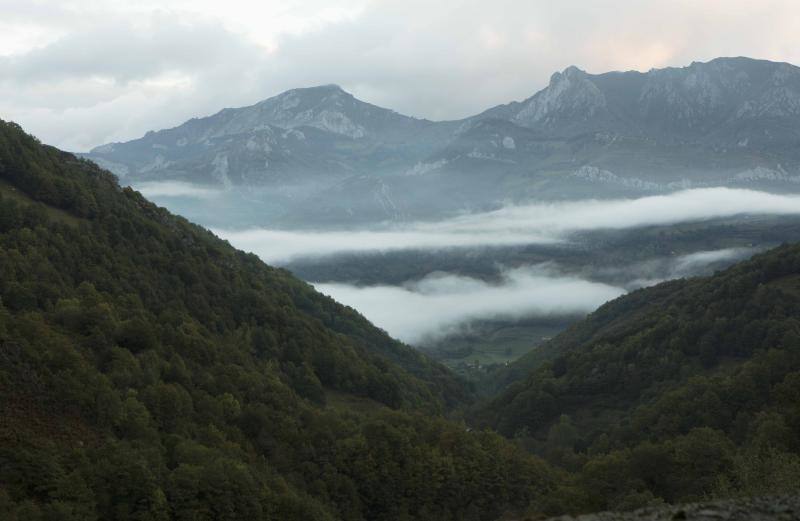 La berrea regresa a los montes asturianos