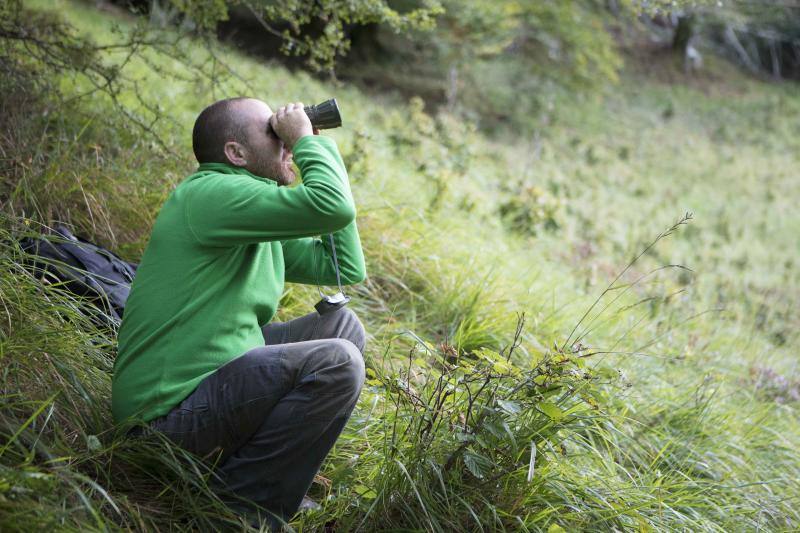 La berrea regresa a los montes asturianos