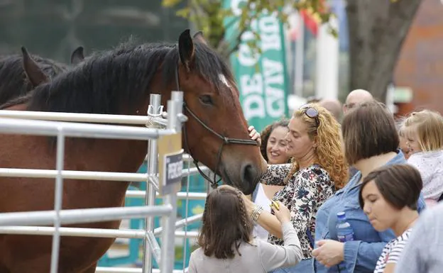 Tercera jornada de la feria Agropoec en Gijón 