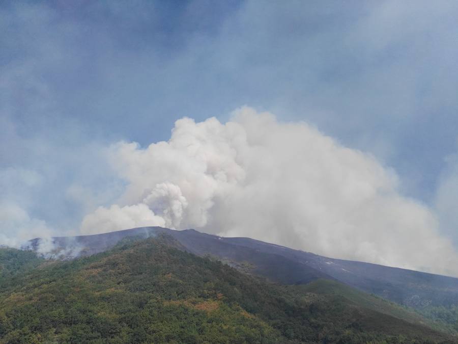 Incendio forestal en Degaña