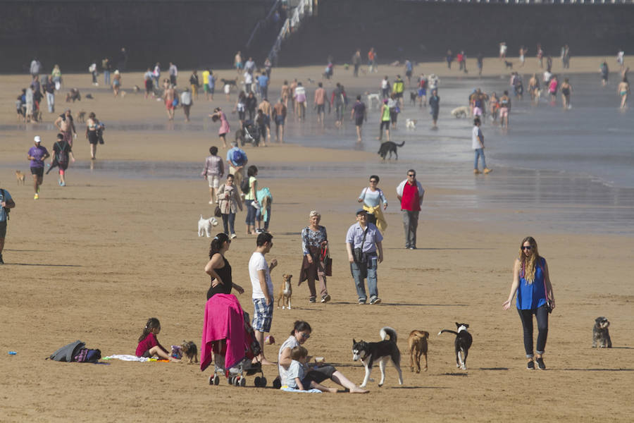 Sol y lleno total en Asturias en el puente del Pilar