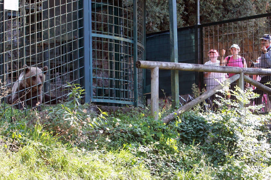 Sol y lleno total en Asturias en el puente del Pilar