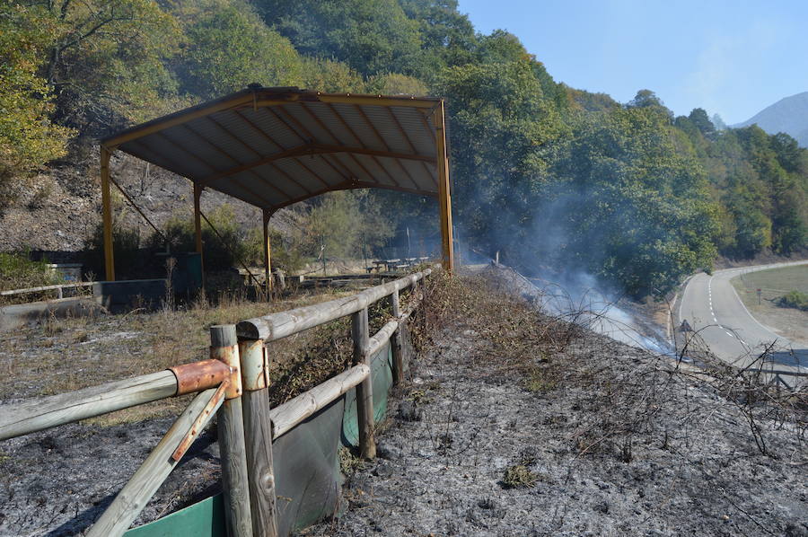 Degaña lucha contra el fuego