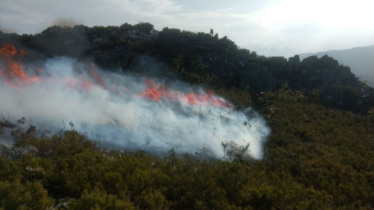 El fuego no da tregua al suroccidente asturiano