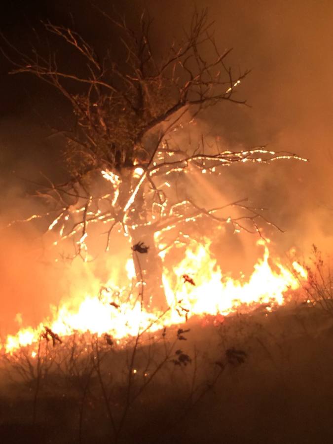 El fuego no da tregua al suroccidente asturiano