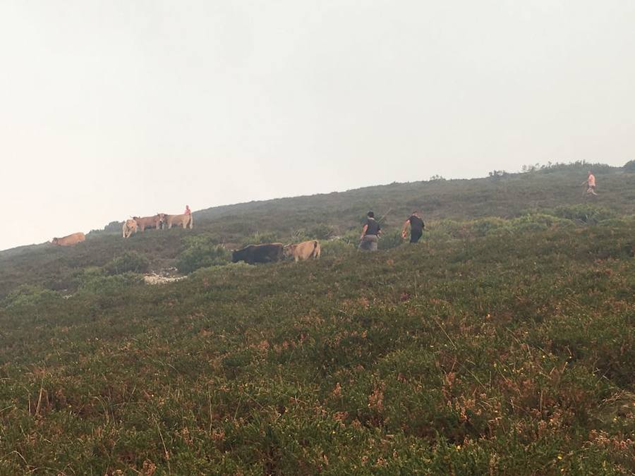 El fuego no da tregua al suroccidente asturiano