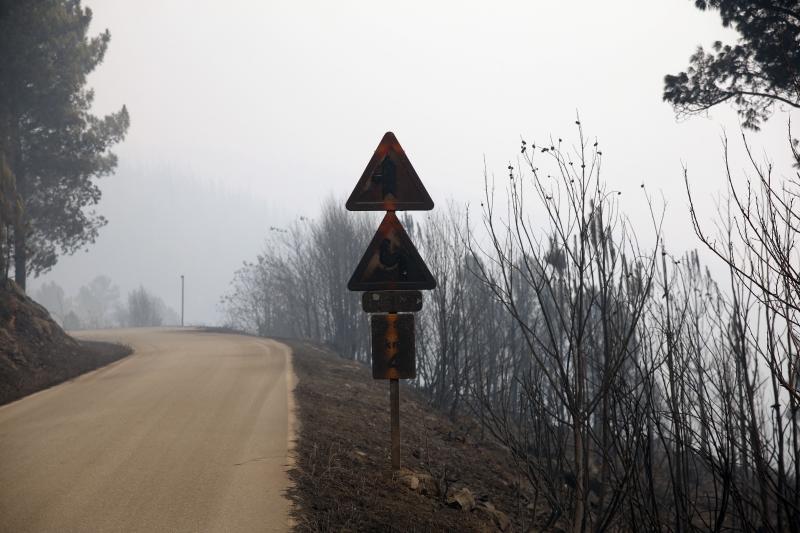 La desoladora imagen que deja el fuego en Asturias