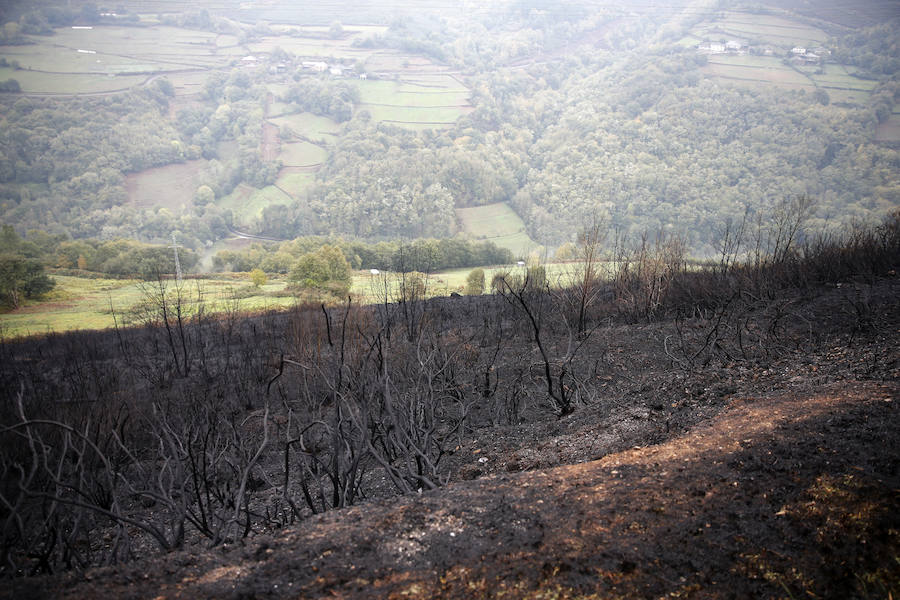 Desolación tras el paso del fuego