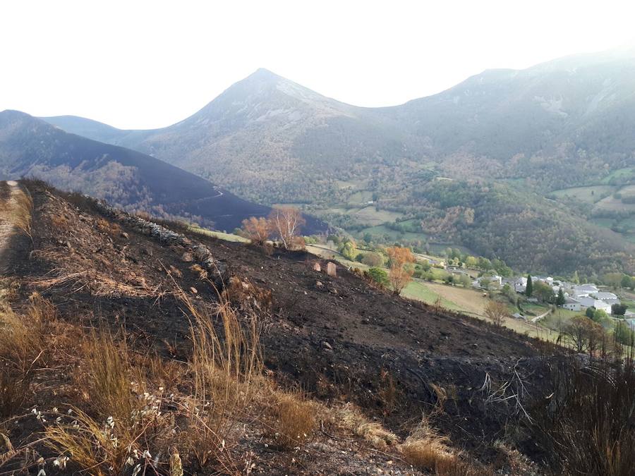 Desolación tras el paso del fuego