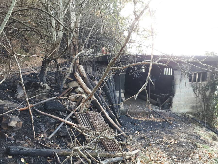 Desolación tras el paso del fuego