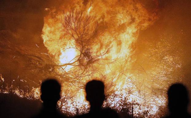 Numerosos brigadistas se han jugado la vida estos días en Galicia para luchar contra los incendios, muchos de ellos causados por pirómanos. 