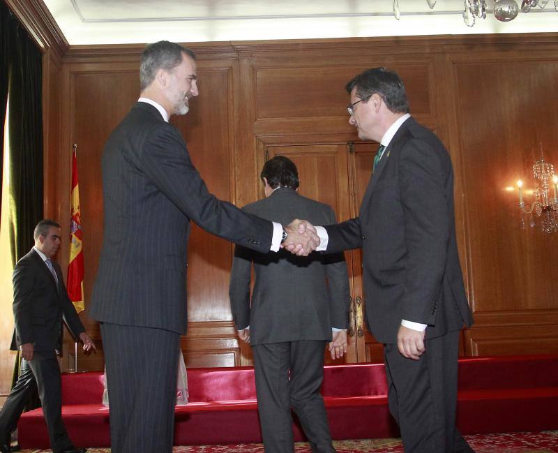 Los Reyes reciben a los premiados con las Medallas de Asturias