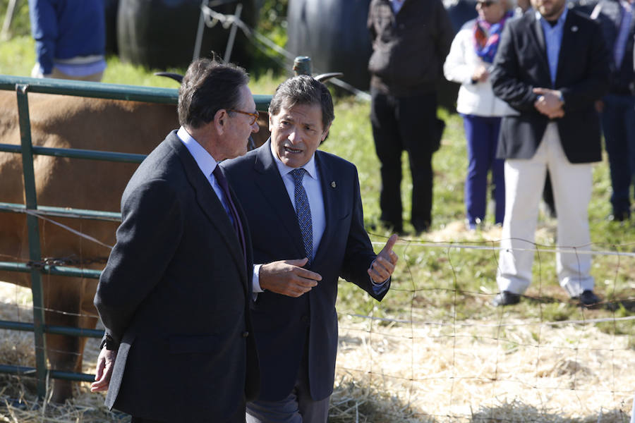 Los Reyes entregan a Poreñu el premio al Pueblo Ejemplar de Asturias 2017