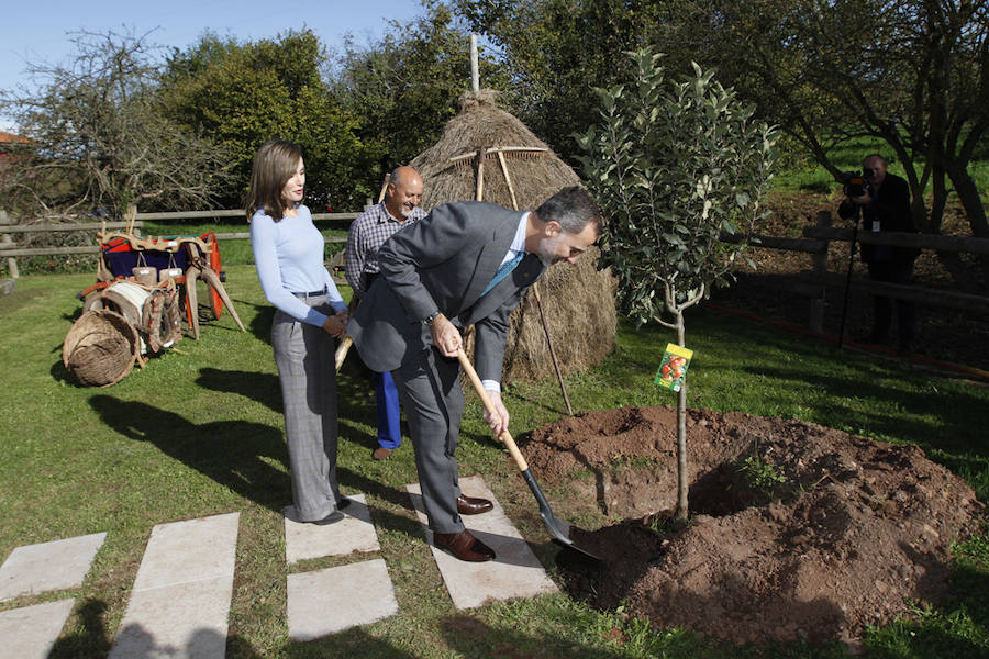 Los Reyes entregan a Poreñu el premio al Pueblo Ejemplar de Asturias 2017