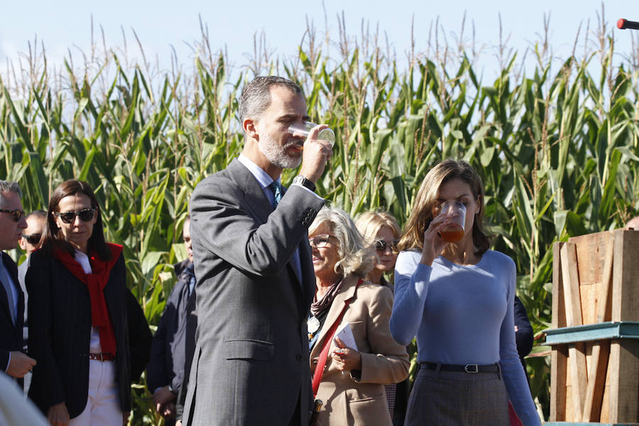 Los Reyes entregan a Poreñu el premio al Pueblo Ejemplar de Asturias 2017
