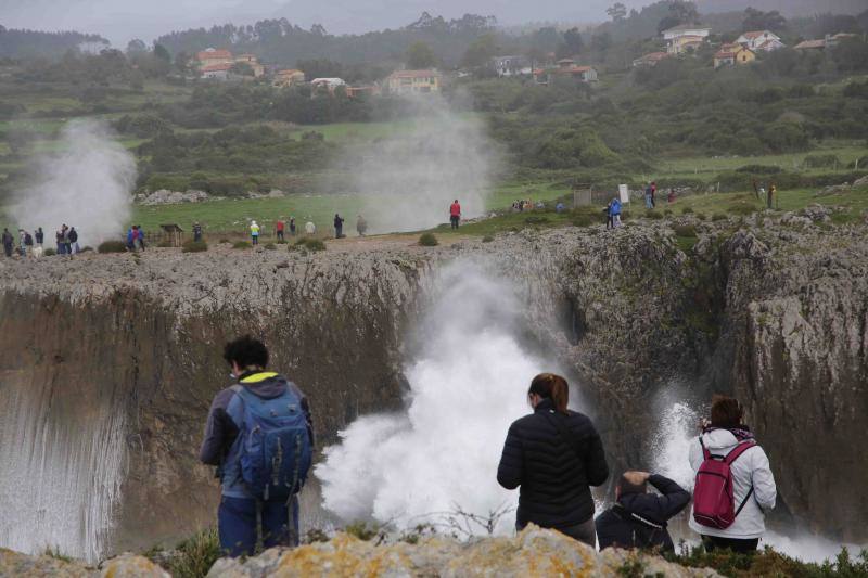 El impactante espectáculo de los bufones de Pría