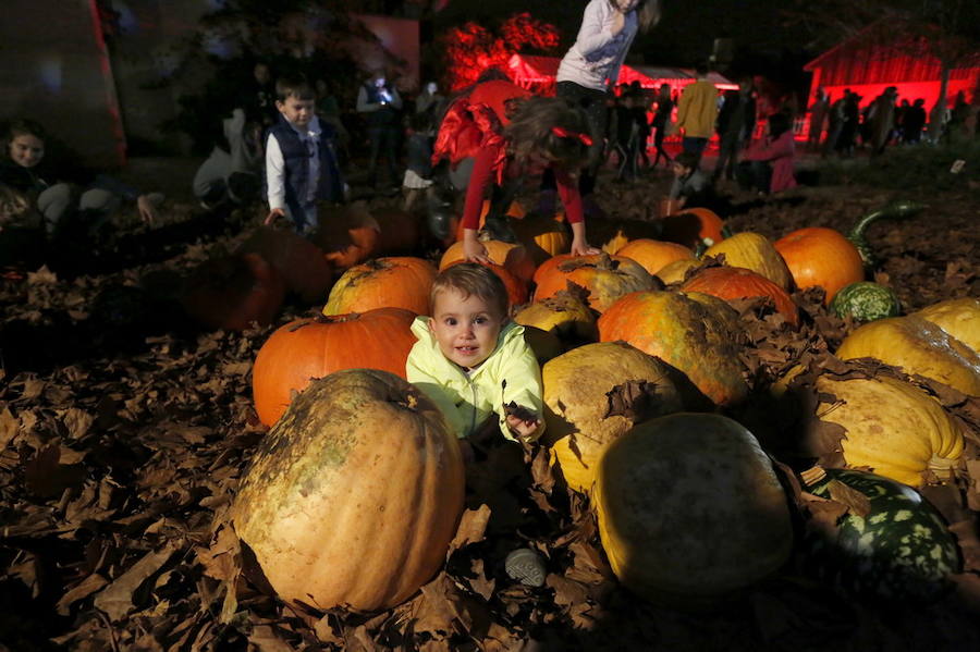 Noche de terror en el Halloween del Botánico