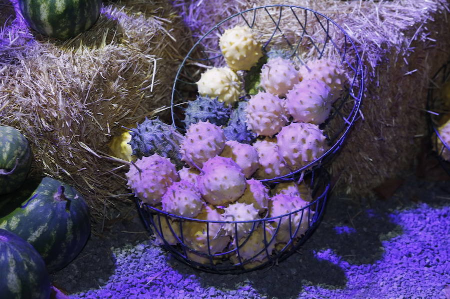 Noche de terror en el Halloween del Botánico
