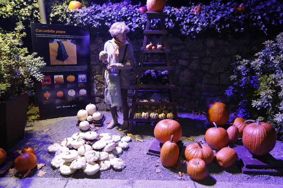 Noche de terror en el Halloween del Botánico