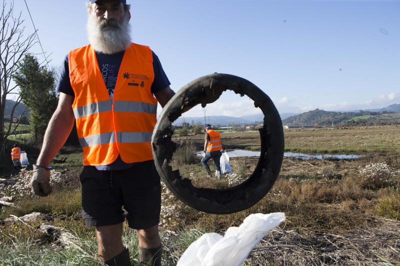 En tres horas, llenaron treinta sacos de sesenta litros con plásticos, cuerdas y botellas, aunque también recogieron una pantalla y un poste de luz