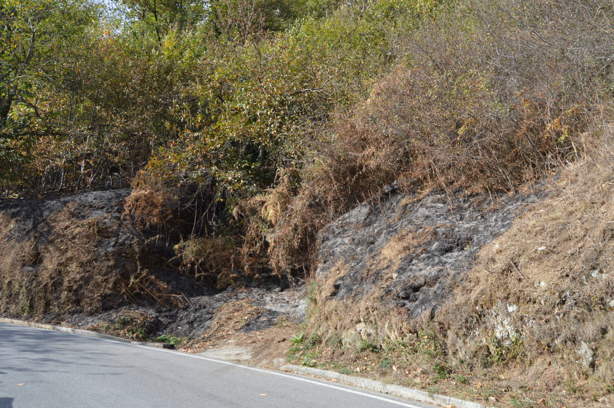 Controlado el incendio declarado esta madrugada cerca de Arayón y Amago