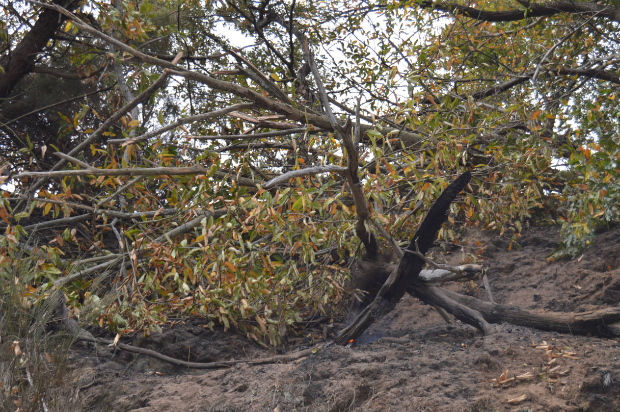 Controlado el incendio declarado esta madrugada cerca de Arayón y Amago