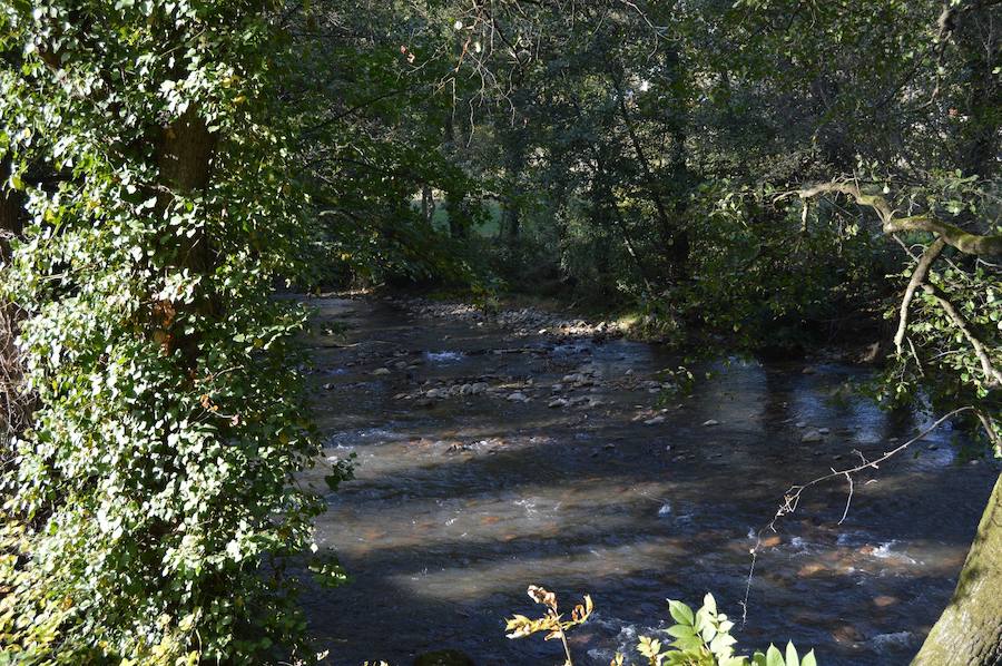 Los estragos de la sequía en Asturias