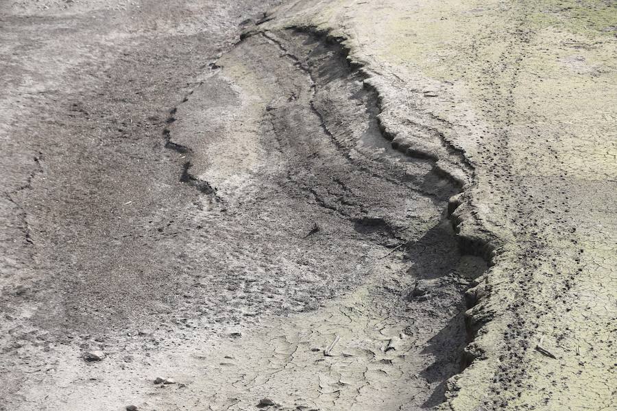 Los estragos de la sequía en Asturias