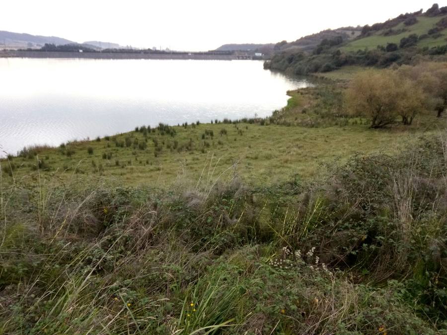 Los estragos de la sequía en Asturias