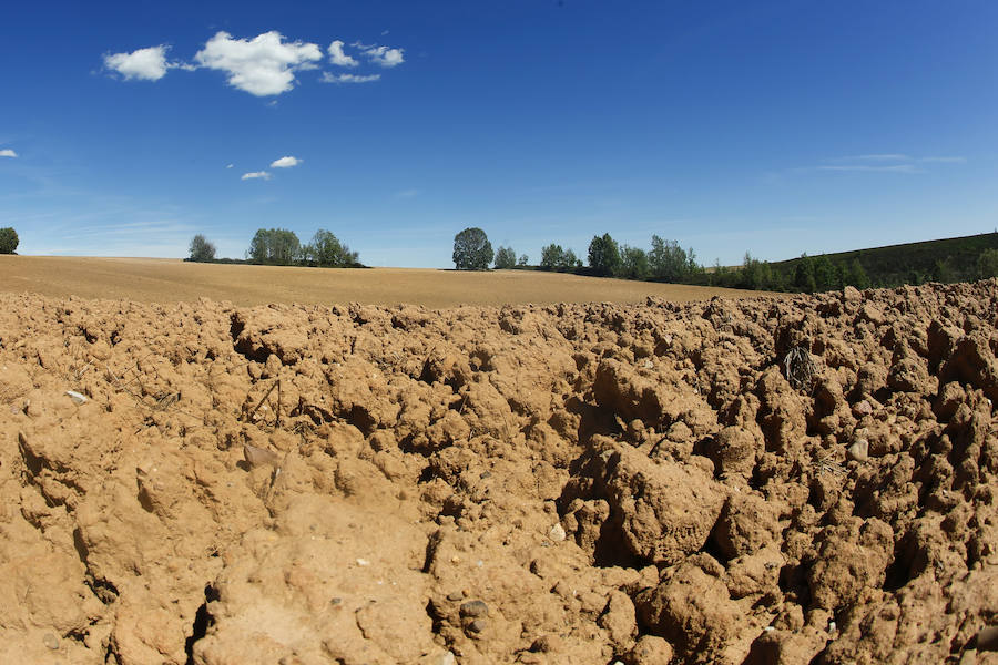 Los estragos de la sequía en Asturias
