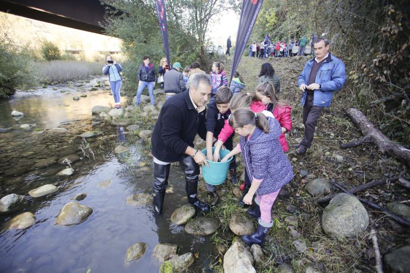 Escolares sueltan 5.000 alevines de trucha en el Nalón