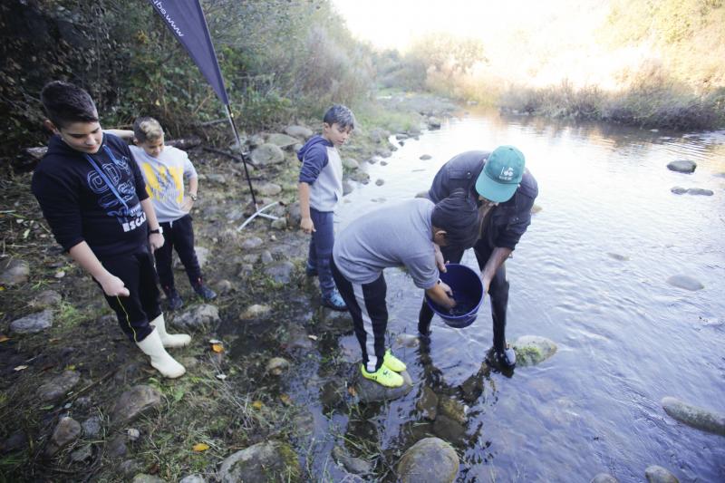 Escolares sueltan 5.000 alevines de trucha en el Nalón