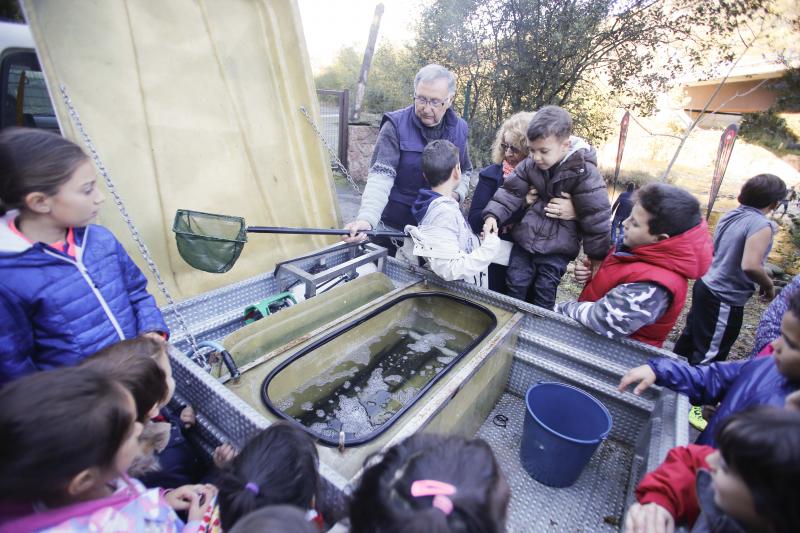 Escolares sueltan 5.000 alevines de trucha en el Nalón