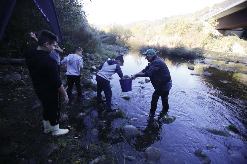 Escolares sueltan 5.000 alevines de trucha en el Nalón