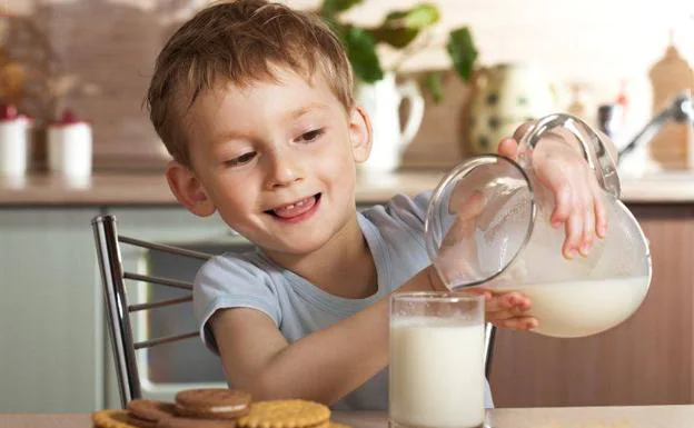 Eliminar la leche de vaca en los niños podría producir raquitismo