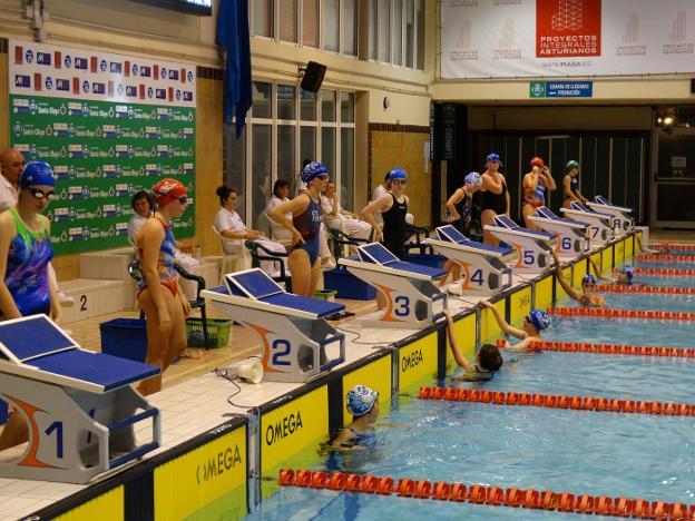 Las nadadoras, durante el Trofeo Alberto Balbín, el año pasado. 