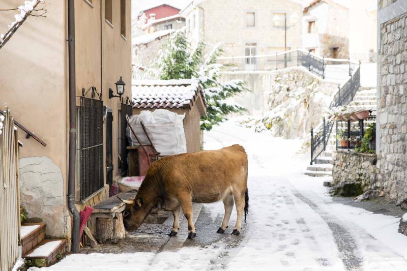 La nieve complica el tráfico en los puertos asturianos