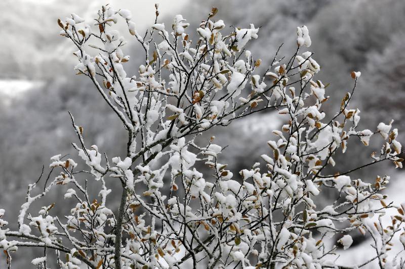 La nieve complica el tráfico en los puertos asturianos