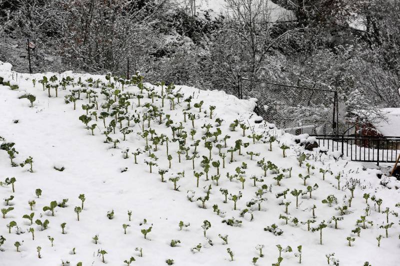 La nieve complica el tráfico en los puertos asturianos