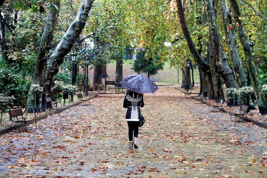 Las imagenes que deja el mal tiempo en Oviedo