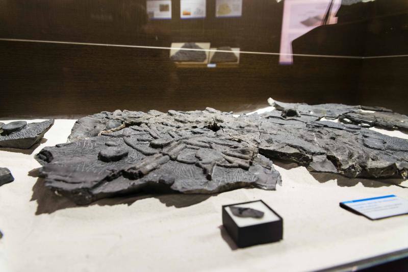 El MUJA amplía su colección