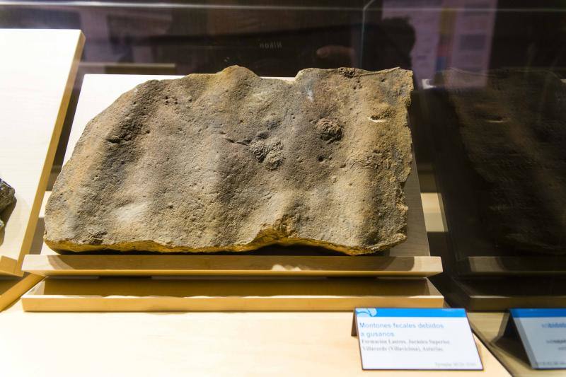 El MUJA amplía su colección