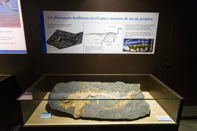 El MUJA amplía su colección