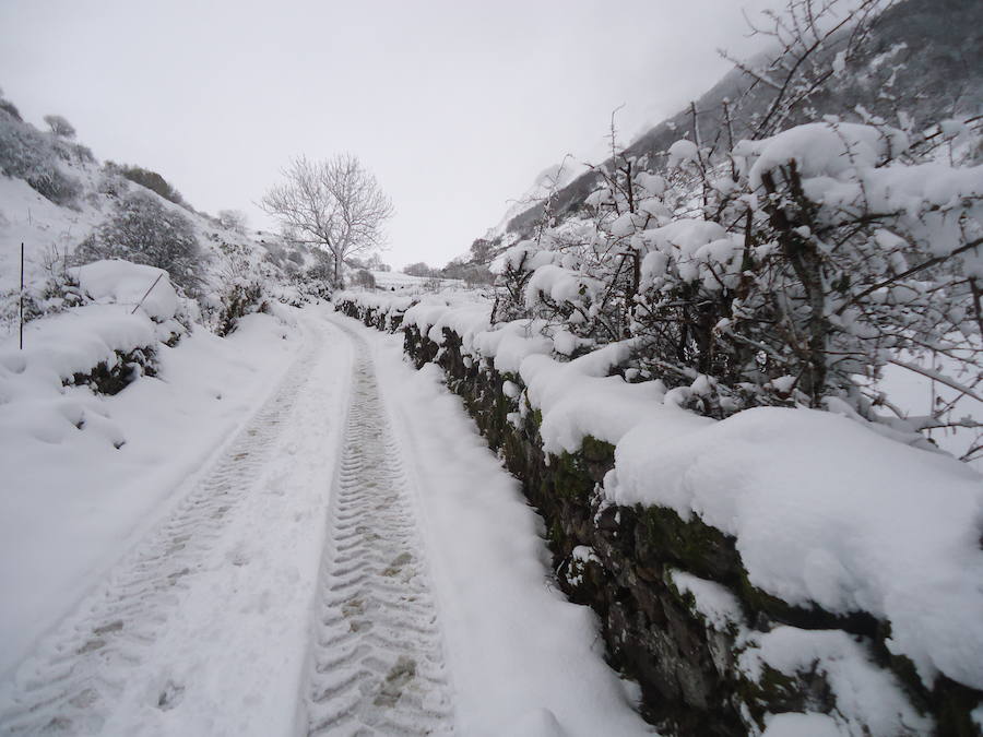 El Principado, cubierto por la nieve