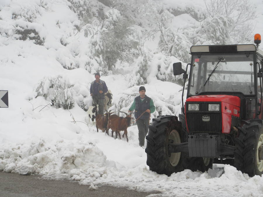 El Principado, cubierto por la nieve