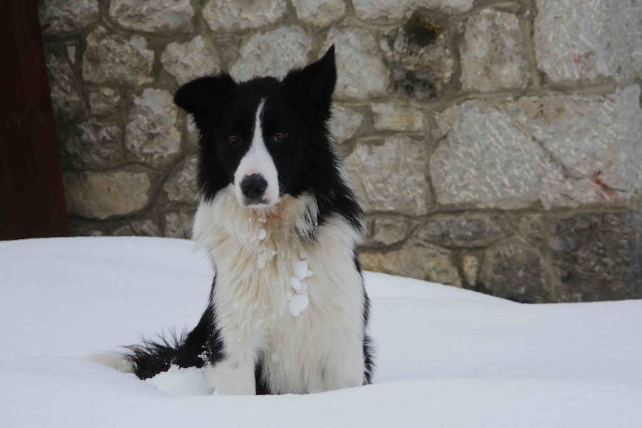 El Principado, cubierto por la nieve